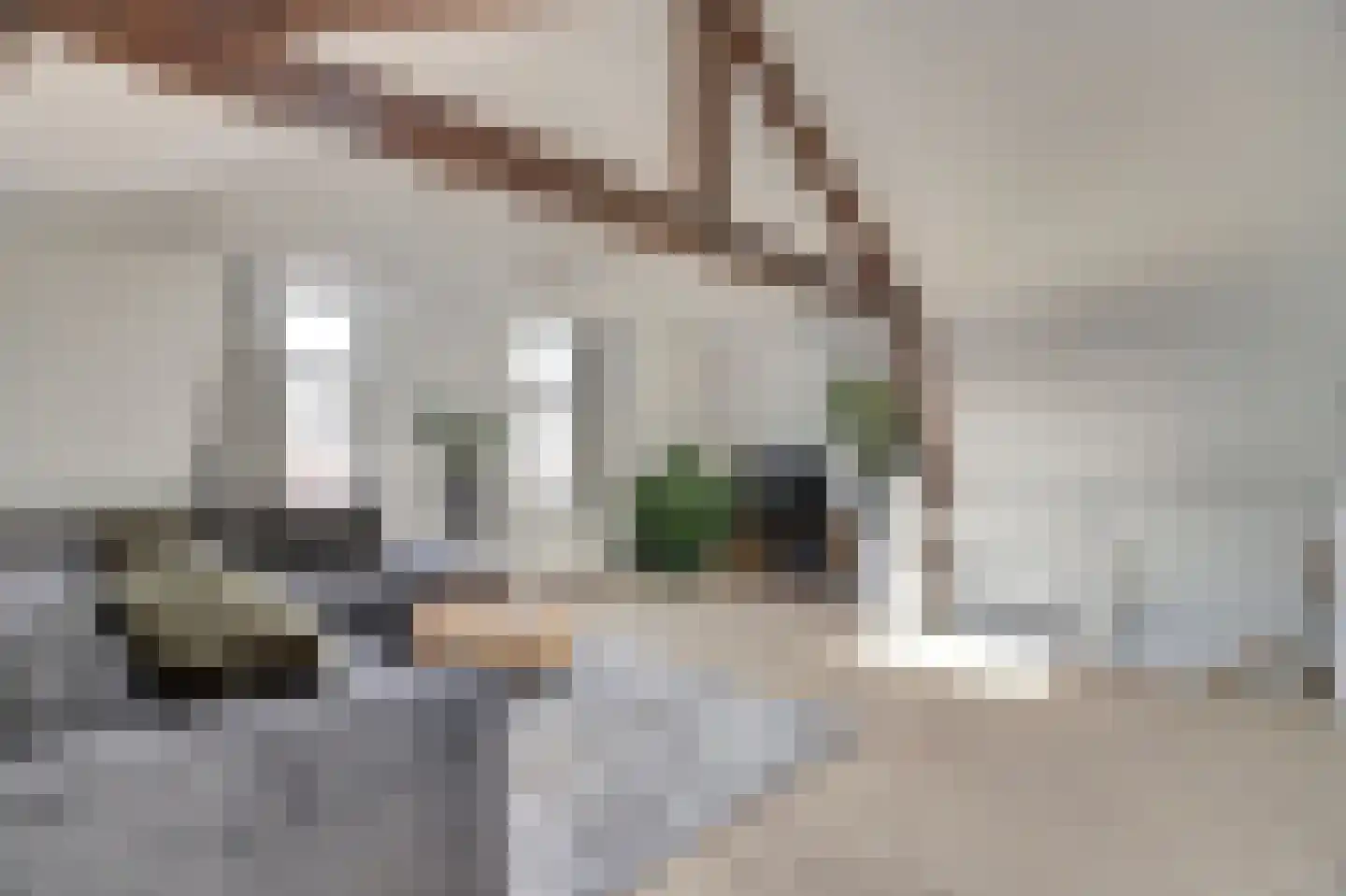 Vlamingstraat 17 Gouda thumbnail 14