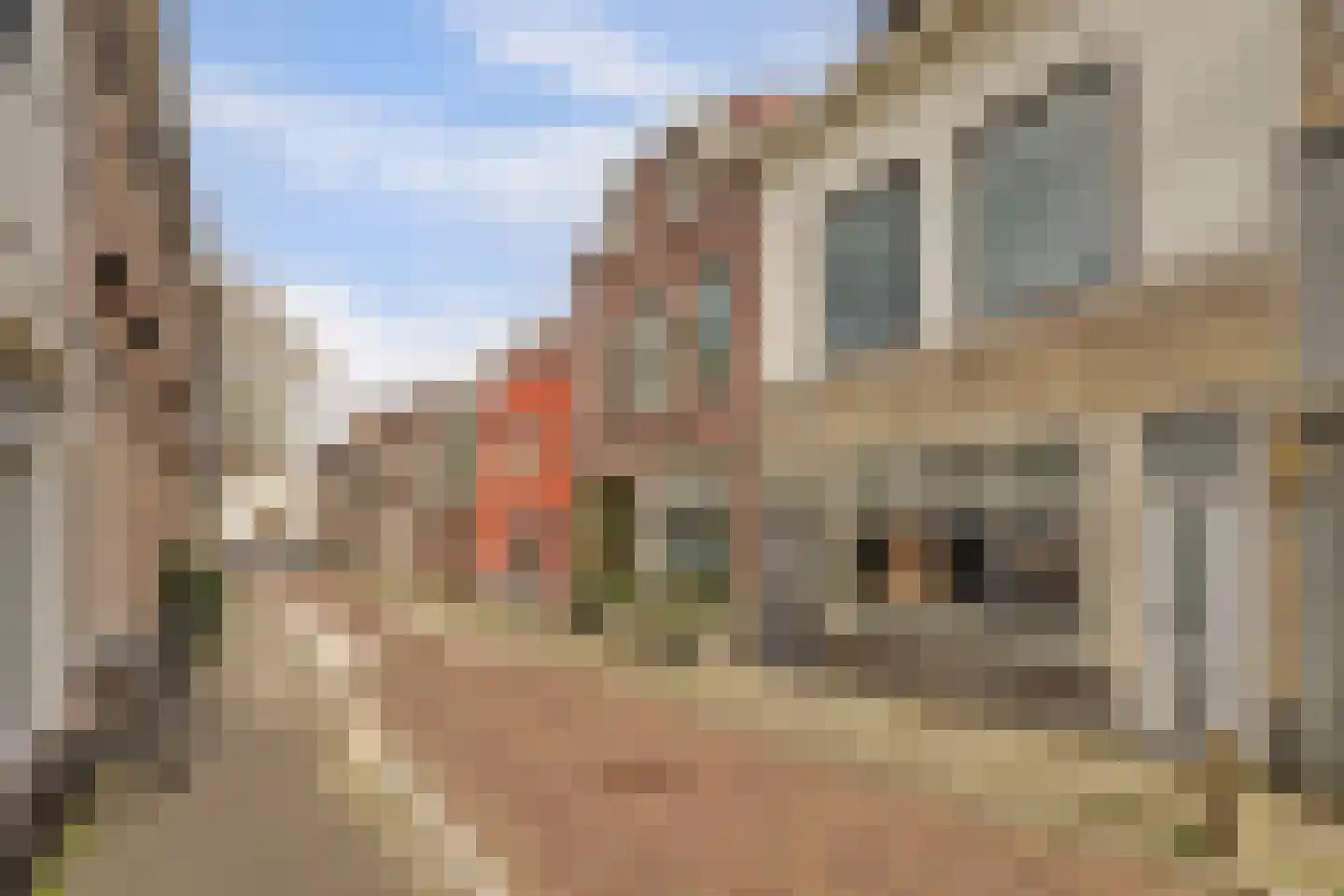 Vlamingstraat 17 Gouda thumbnail 29
