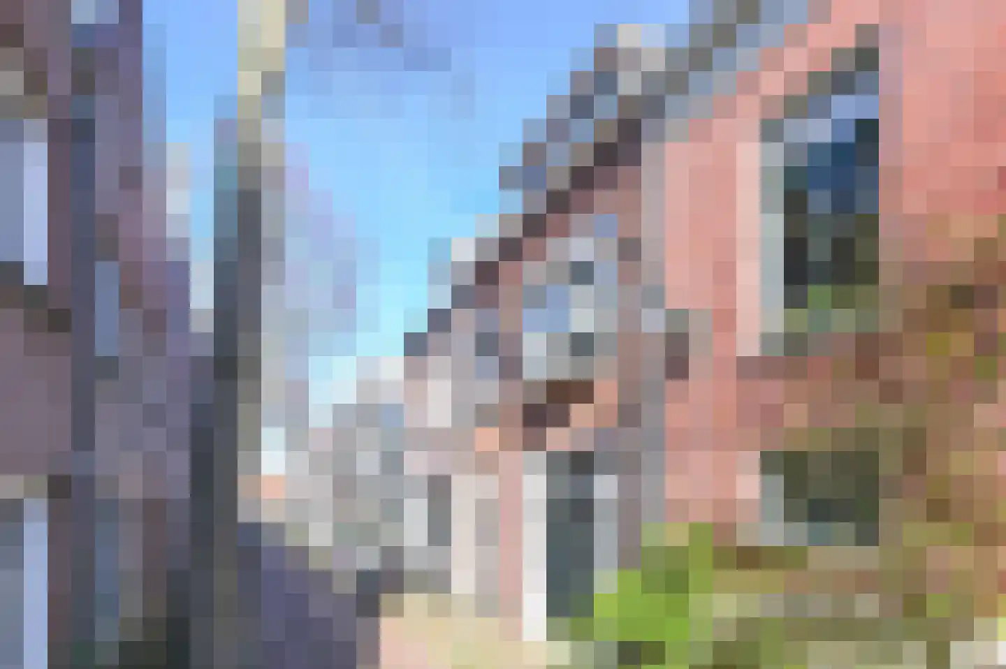 Vlamingstraat 17 Haarlem thumbnail 29