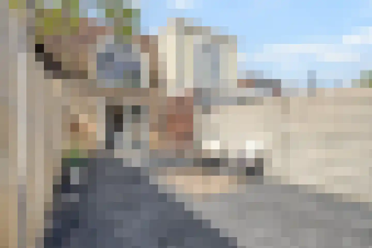 Vlamingstraat 19 Den Helder thumbnail 15