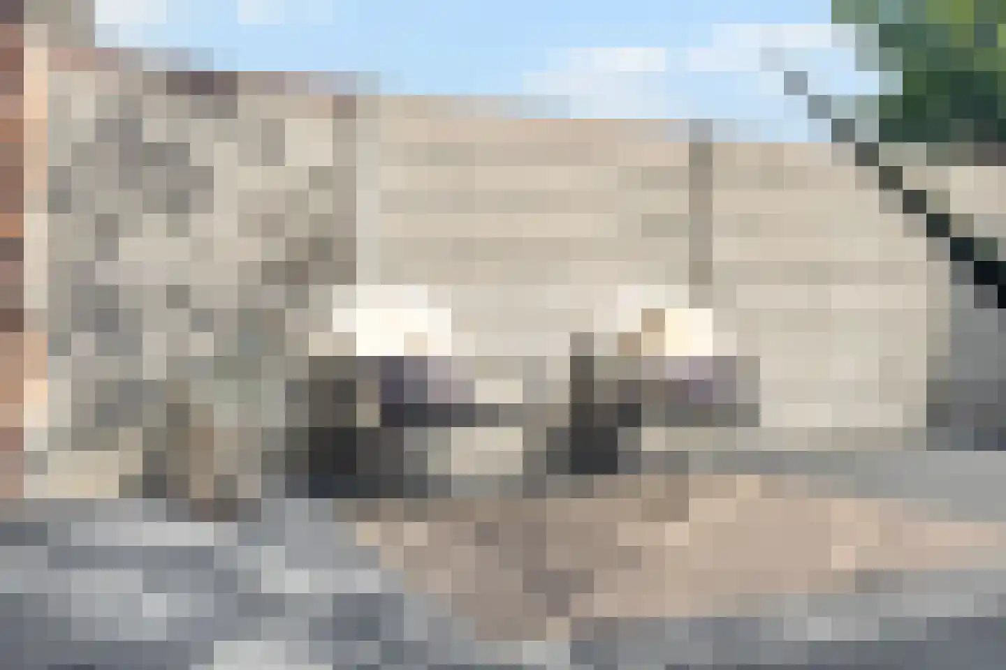 Vlamingstraat 19 Den Helder thumbnail 16