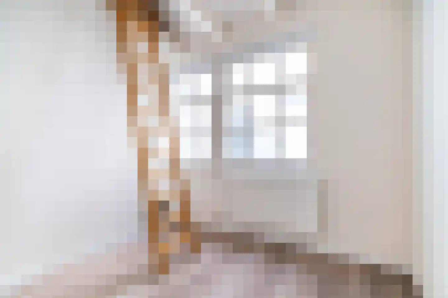 Vlamingstraat 36 B Den Haag thumbnail 12