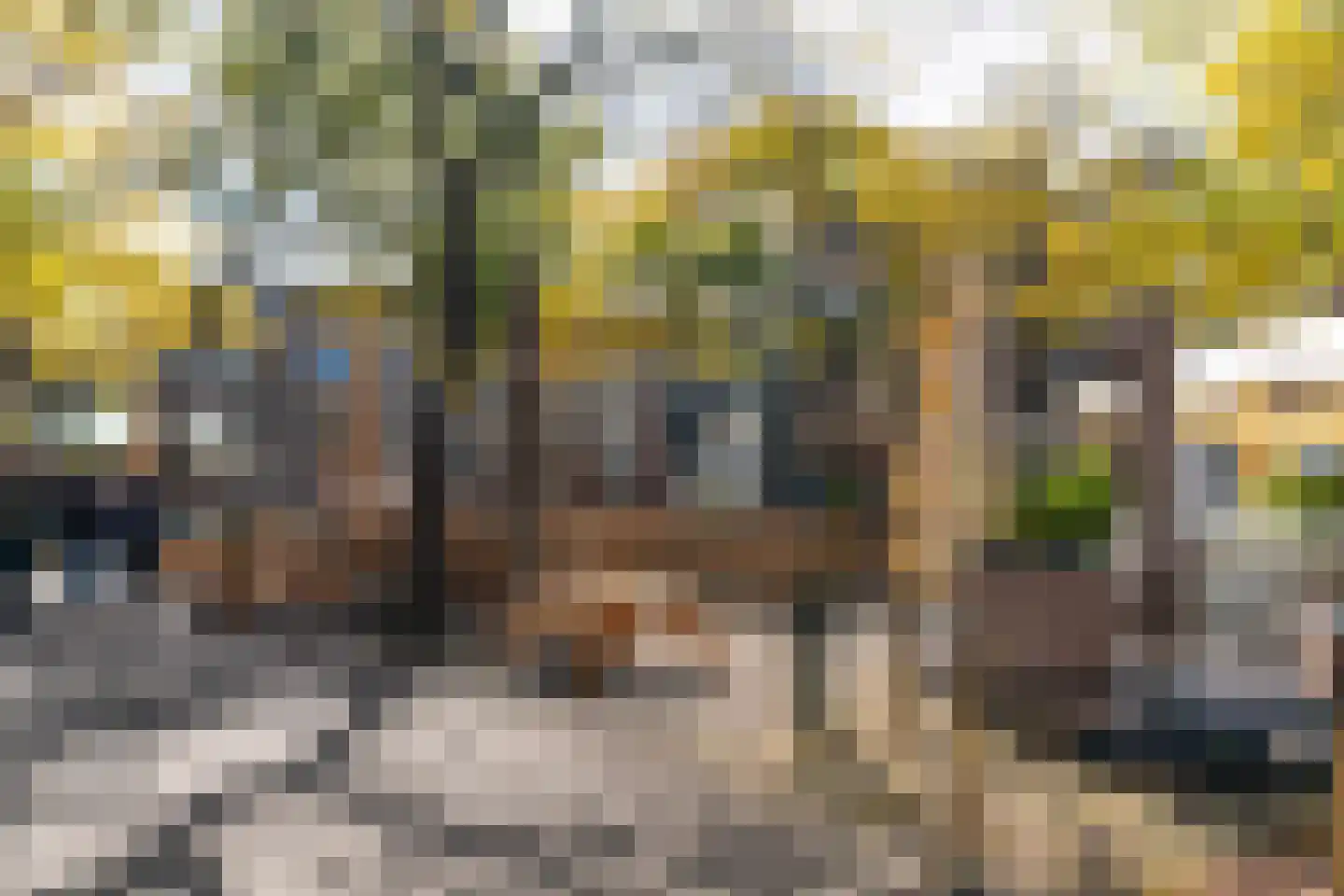 Vlamingstraat 36 B Den Haag thumbnail 19