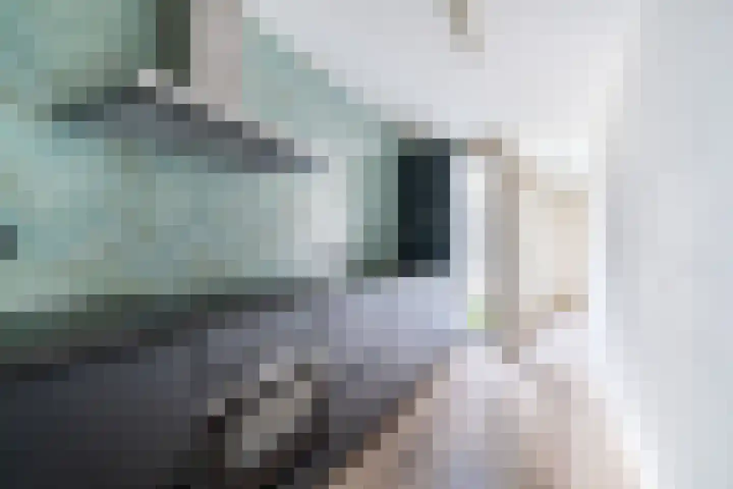 Vlamingstraat 36 B Den Haag thumbnail 7
