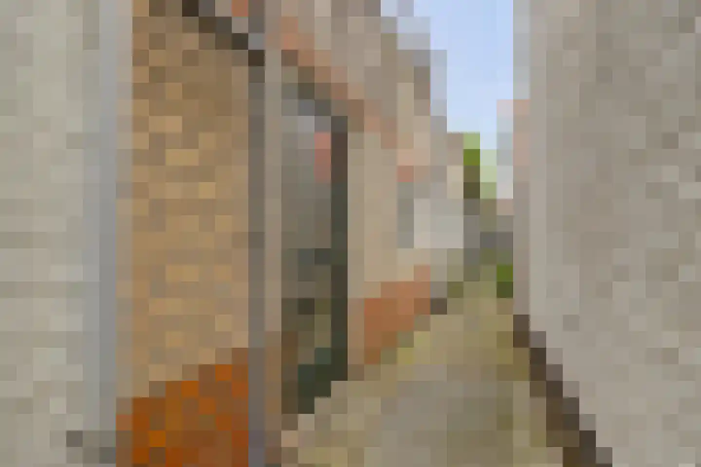 Vlamingstraat 39 Gouda thumbnail 27