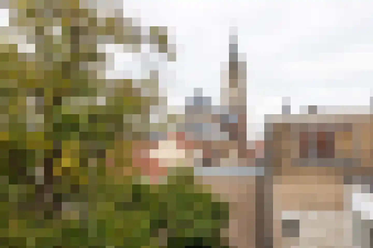Vlamingstraat 45 Delft thumbnail 29