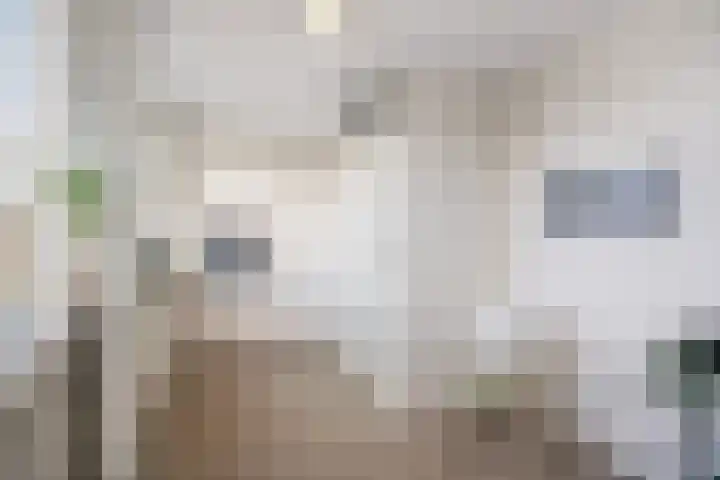 Vlamingstraat 6 Den Helder thumbnail 21