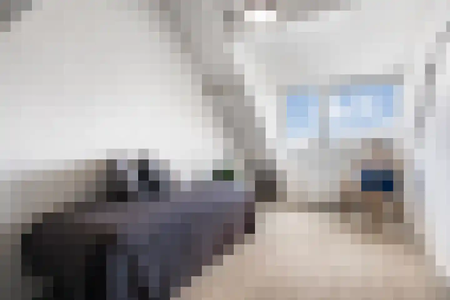Vlamingstraat 6 Den Helder thumbnail 23
