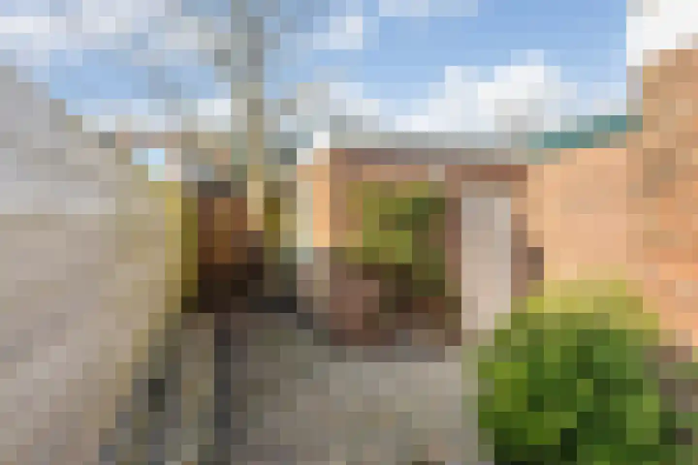 Vlamingstraat 6 Den Helder thumbnail 25