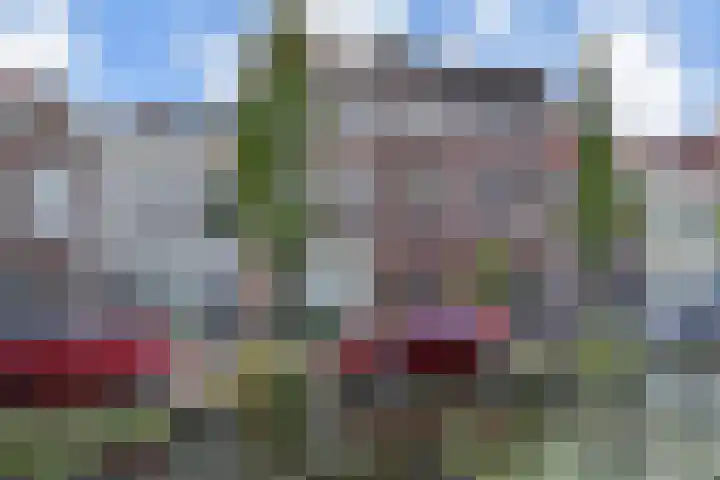 Vlamingstraat 65 Delft thumbnail 48