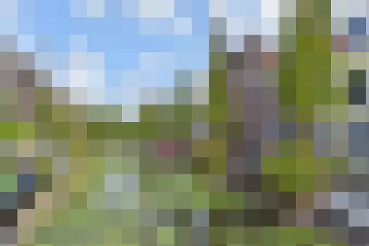 Vlamingstraat 65 Delft thumbnail 6