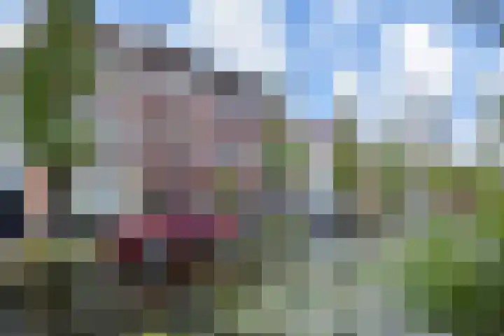 Vlamingstraat 65 Delft thumbnail 7