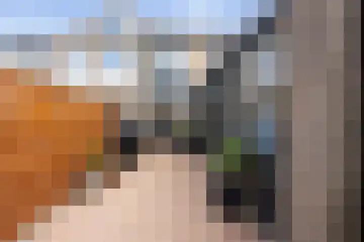 Vlamingstraat 8 Den Helder thumbnail 18