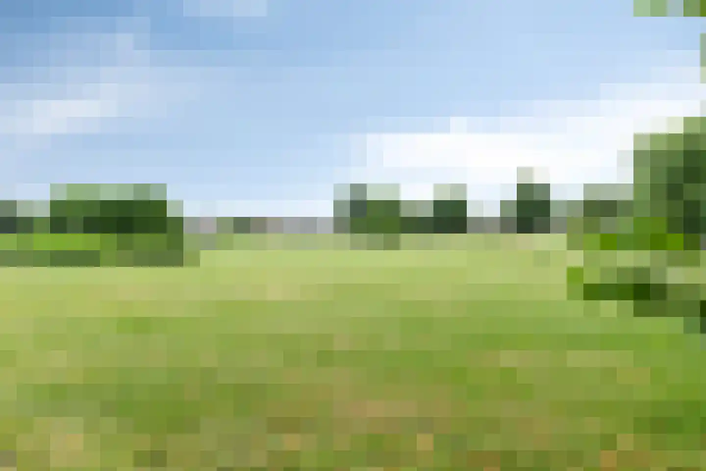 Vlamingvaart 42 Steenbergen thumbnail 43