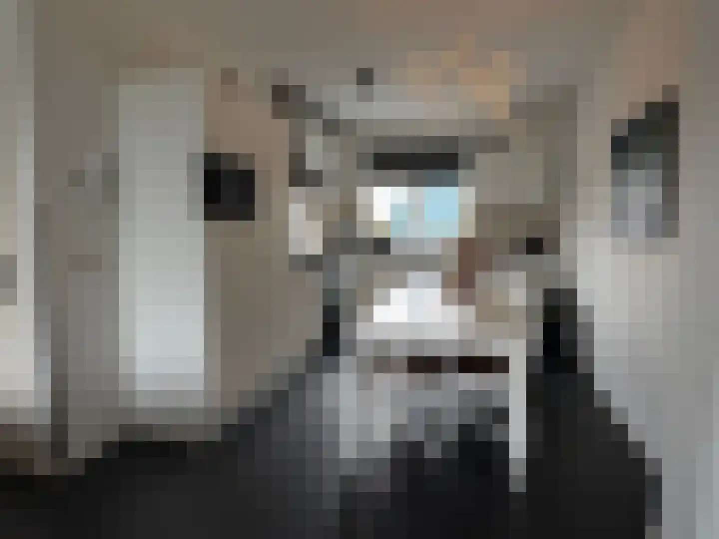 Vlamkast 25 Oudeschild thumbnail 10