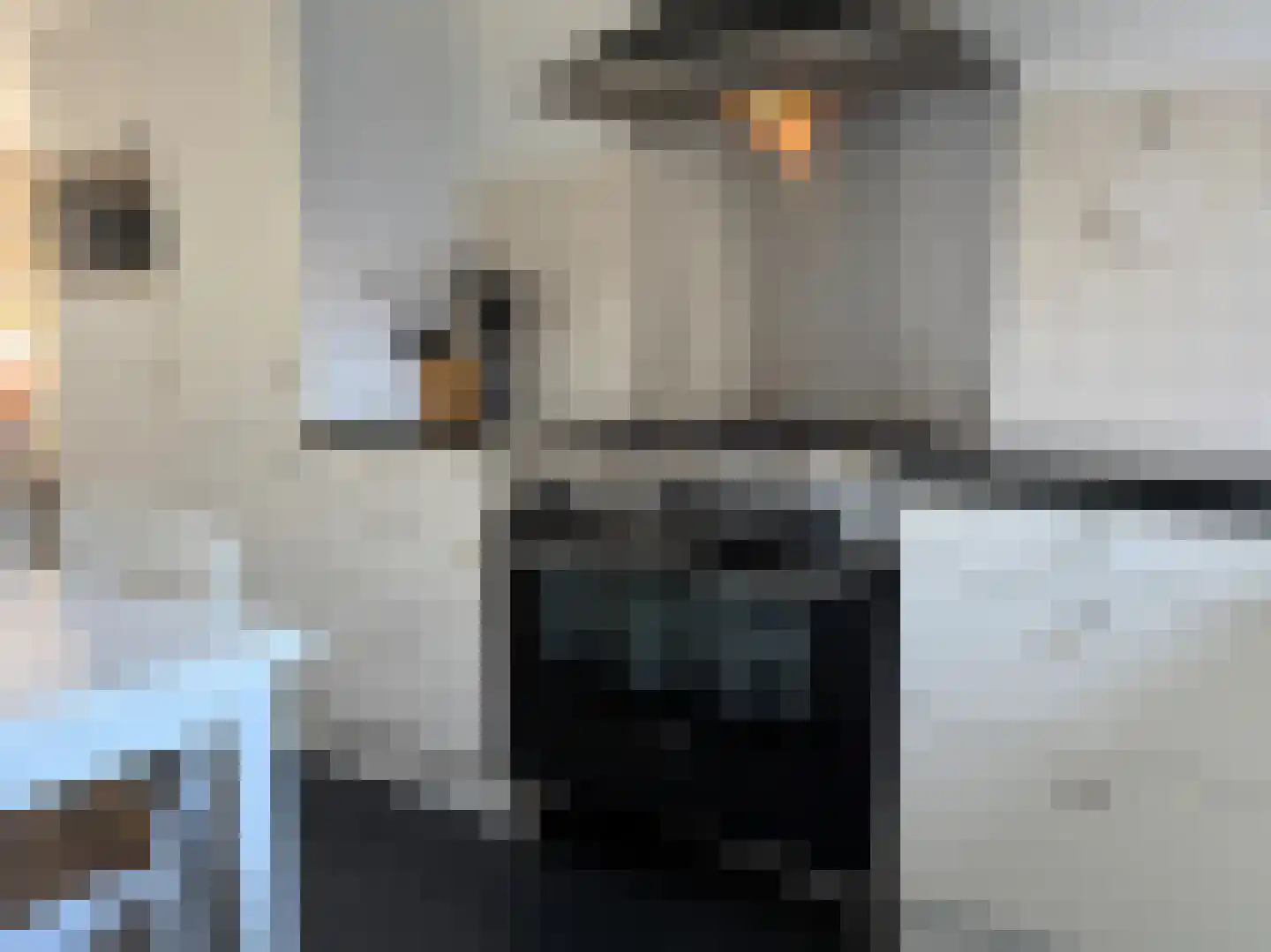 Vlamkast 25 Oudeschild thumbnail 13