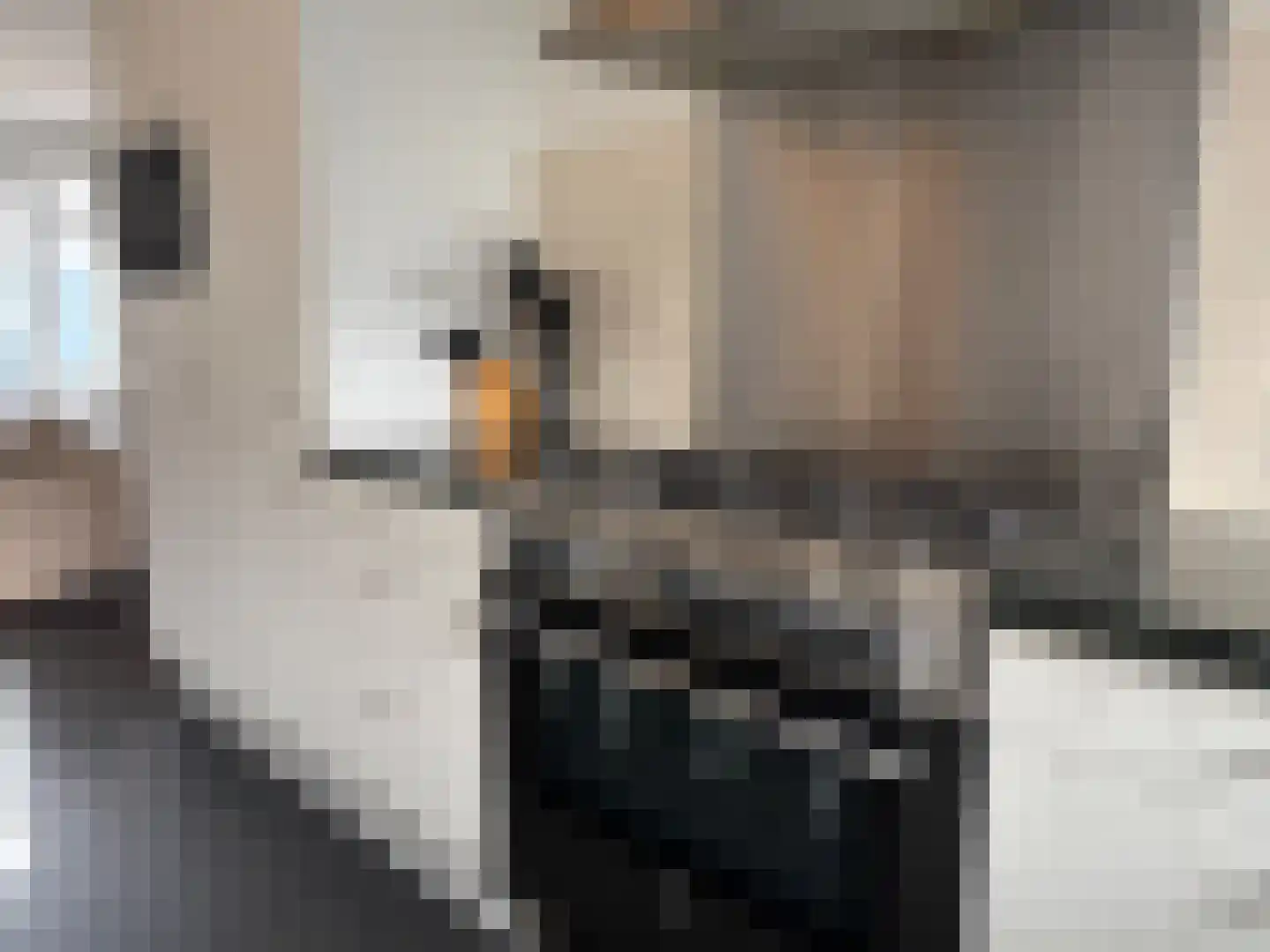 Vlamkast 25 Oudeschild thumbnail 14