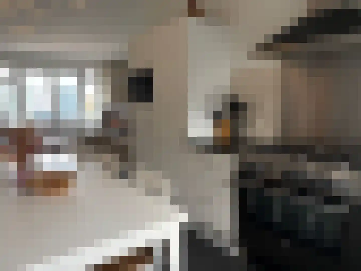 Vlamkast 25 Oudeschild thumbnail 15