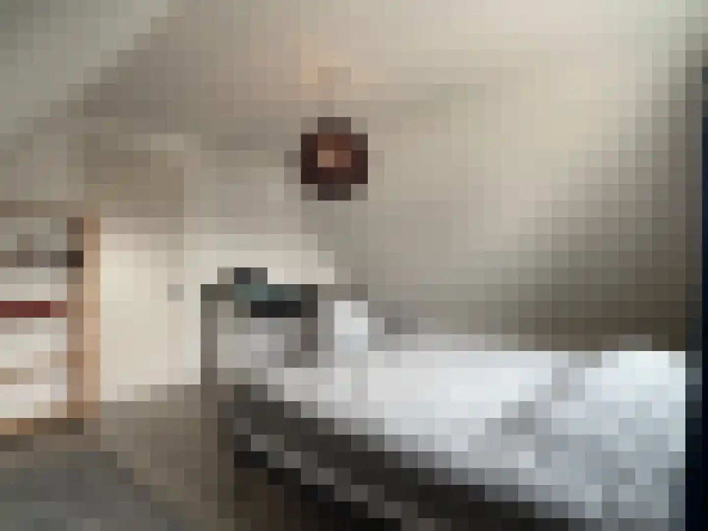 Vlamkast 25 Oudeschild thumbnail 19