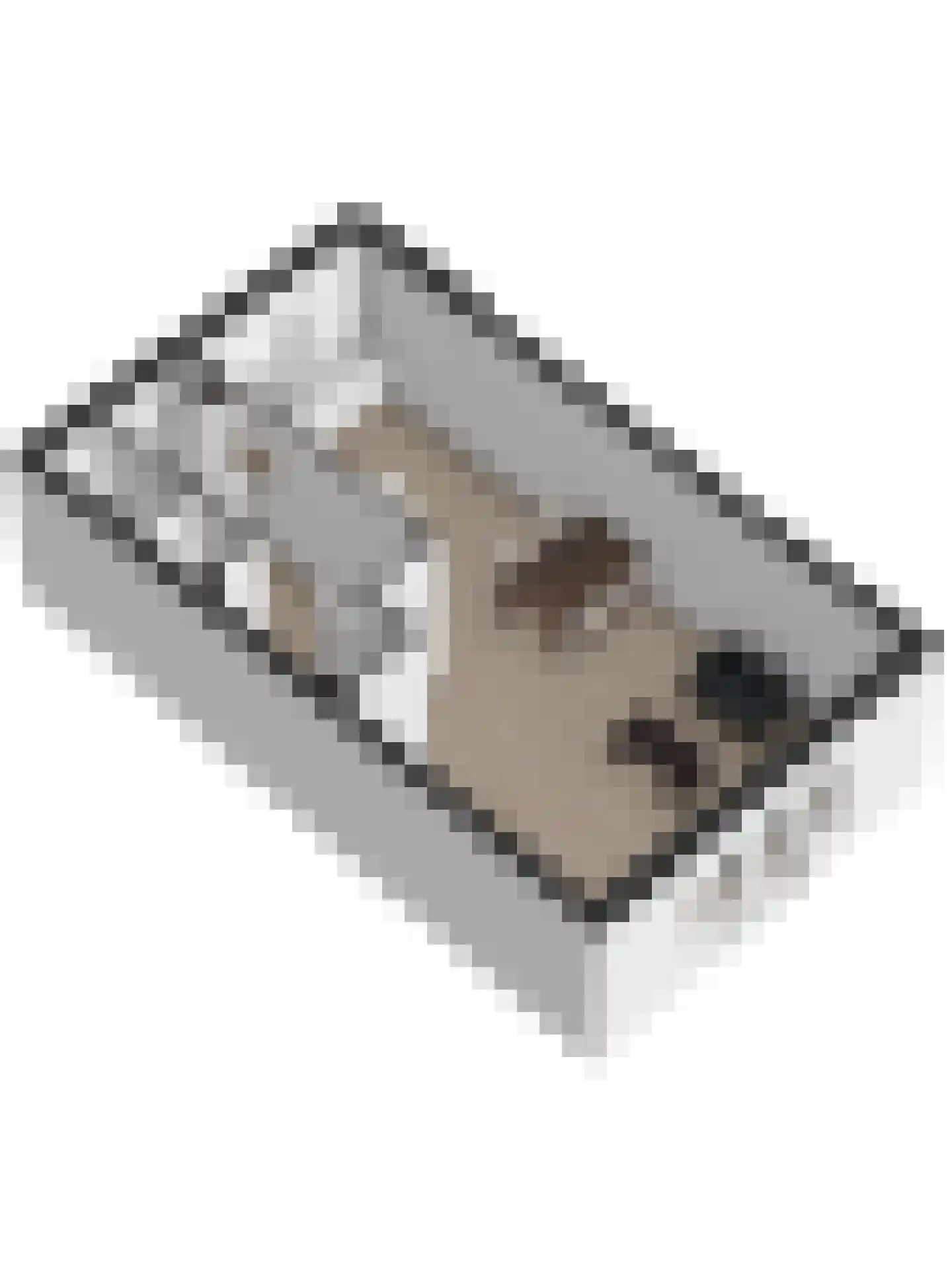 Vlamkast 25 Oudeschild thumbnail 30