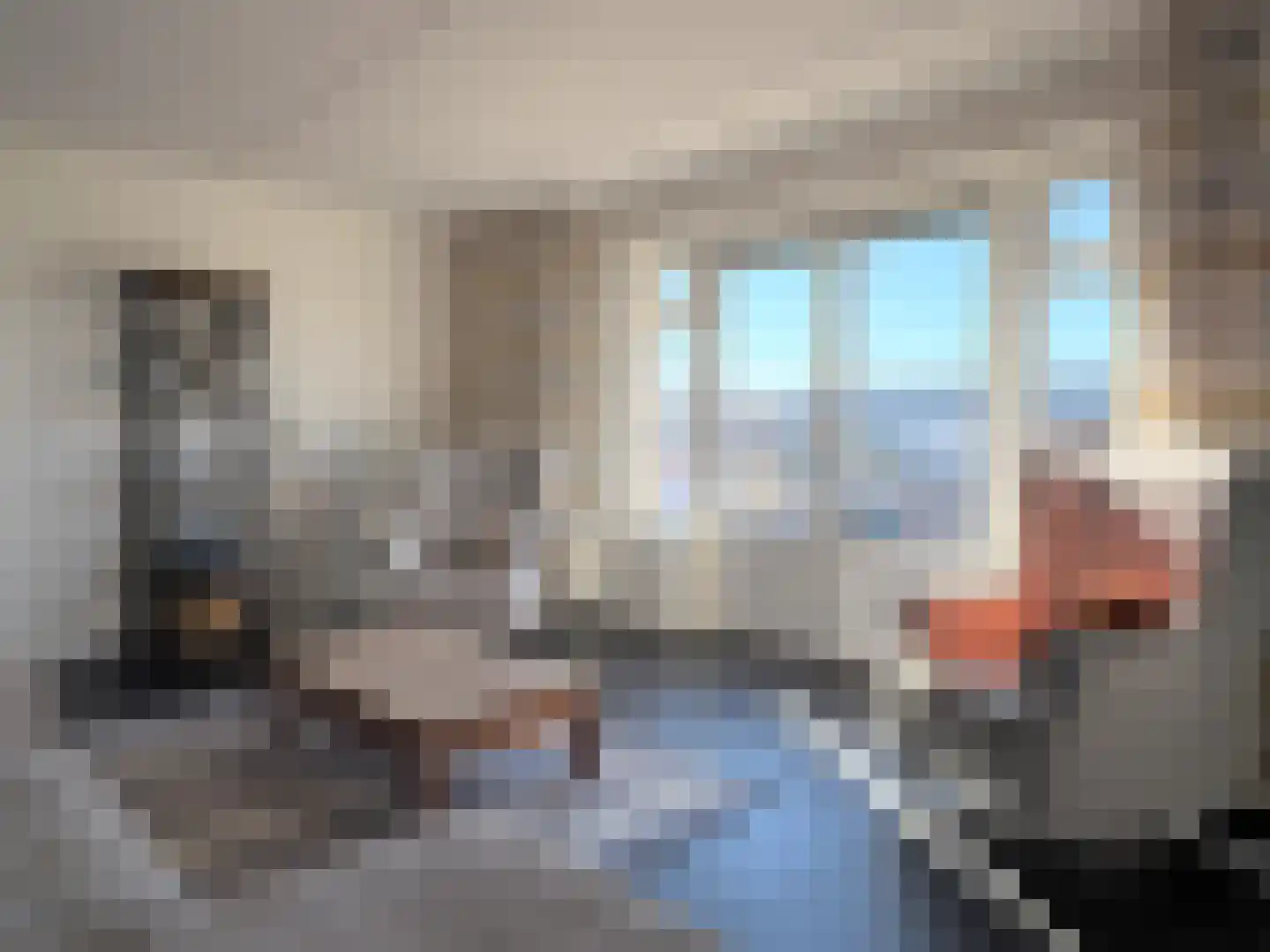 Vlamkast 25 Oudeschild thumbnail 4