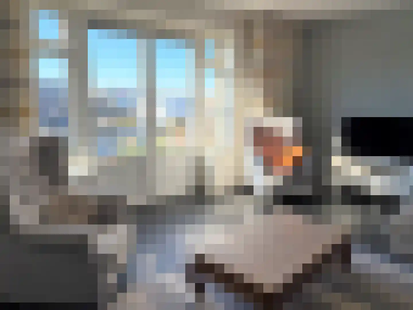 Vlamkast 25 Oudeschild thumbnail 5