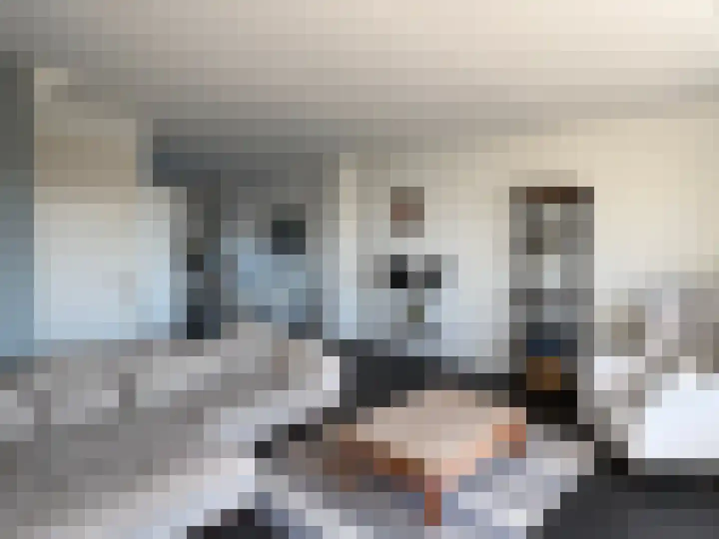 Vlamkast 25 Oudeschild thumbnail 7