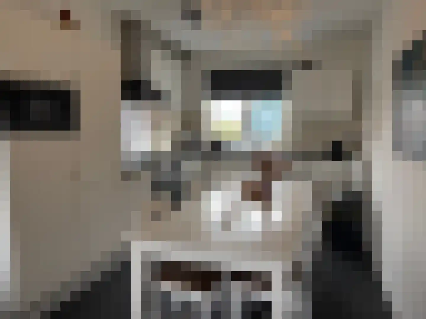 Vlamkast 25 Oudeschild thumbnail 9