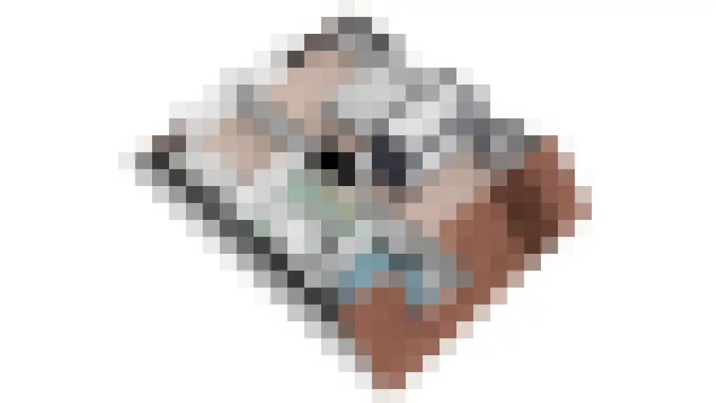 Vlamkast 45 Oudeschild thumbnail 44