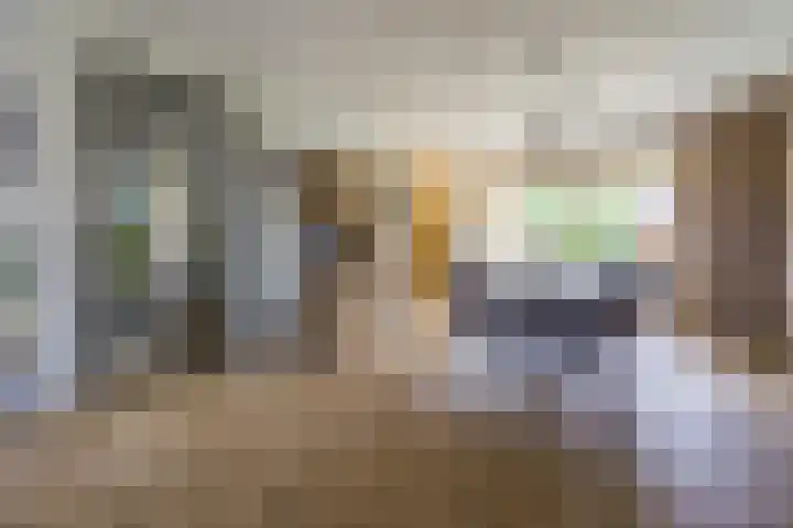 Vlammertsehof 217 Bergen L thumbnail 11