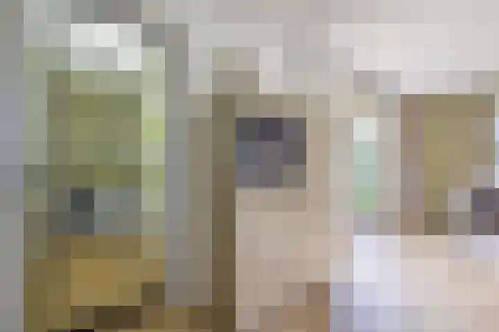 Vlammertsehof 217 Bergen L thumbnail 16