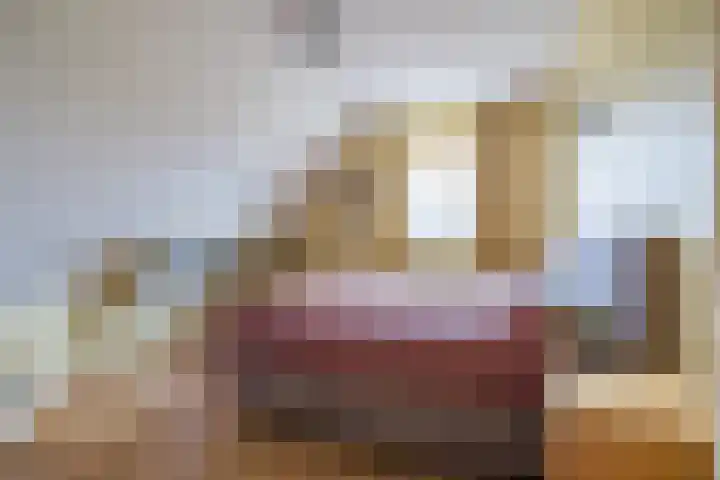 Vlammertsehof 217 Bergen L thumbnail 23