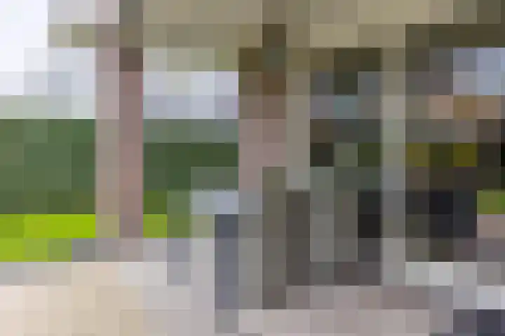 Vlammertsehof 217 Bergen L thumbnail 34