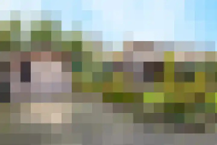 Vlammertsehof 217 Bergen L thumbnail 35