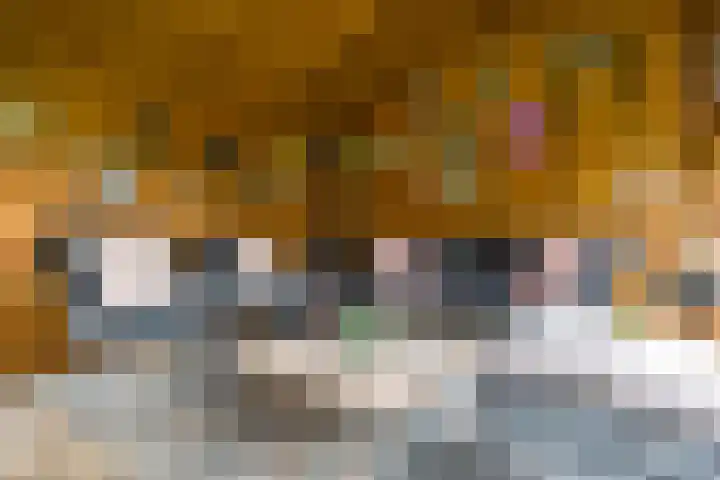 Vlammertsehof 217 Bergen L thumbnail 39