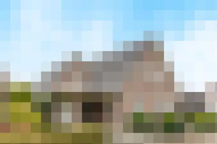 Vlammertsehof 217 Bergen L thumbnail 45