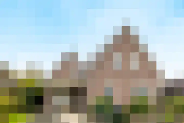 Vlammertsehof 217 Bergen L thumbnail 47