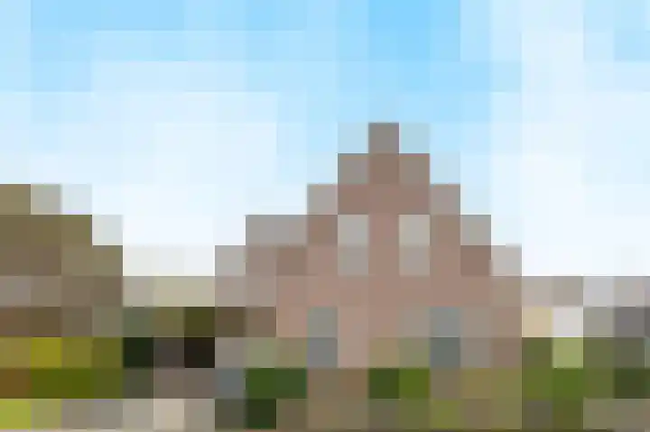 Vlammertsehof 217 Bergen L thumbnail 48