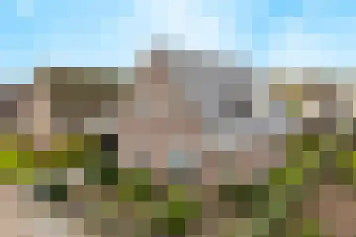 Vlammertsehof 217 Bergen L thumbnail 51