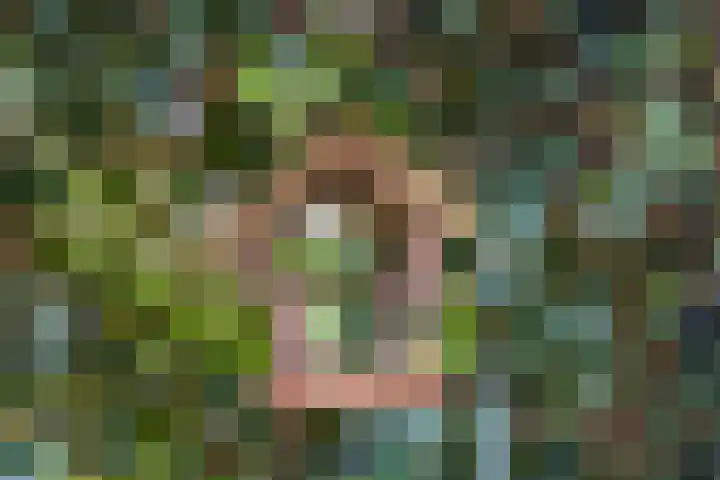 Vlammertsehof 217 Bergen L thumbnail 54