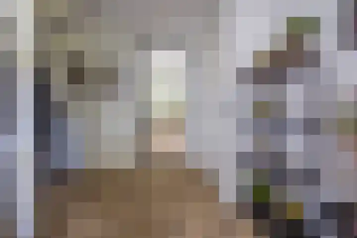 Vlammertsehof 217 Bergen L thumbnail 6