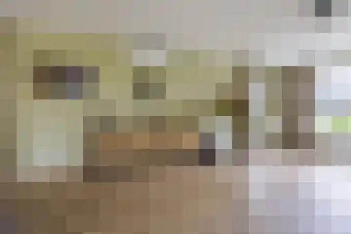Vlammertsehof 217 Bergen L thumbnail 7
