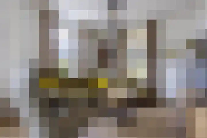 Vlammertsehof 217 Bergen L thumbnail 8