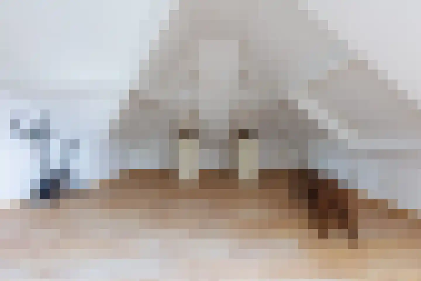 Vlammertsehof 46 Bergen L thumbnail 48