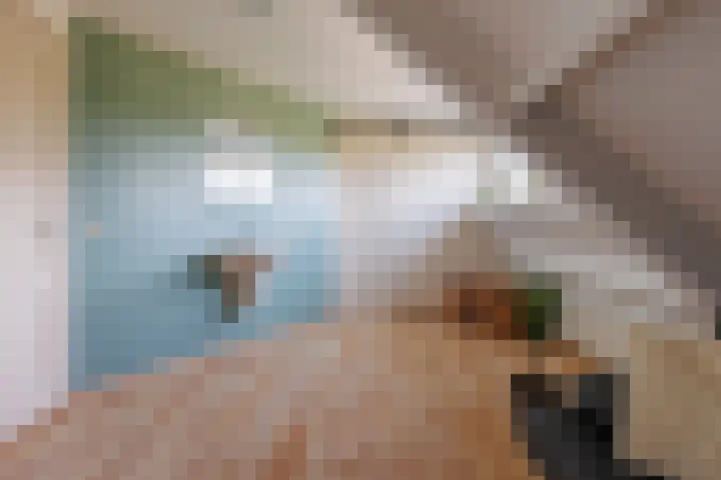 Vlammertsehof 46 Bergen L thumbnail 50