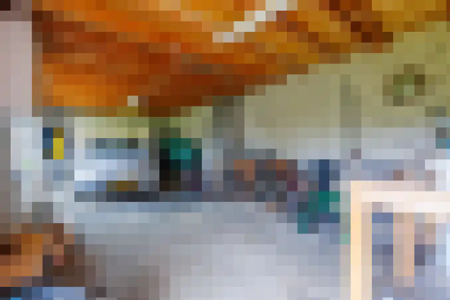 Vlammertsehof 46 Bergen L thumbnail 53