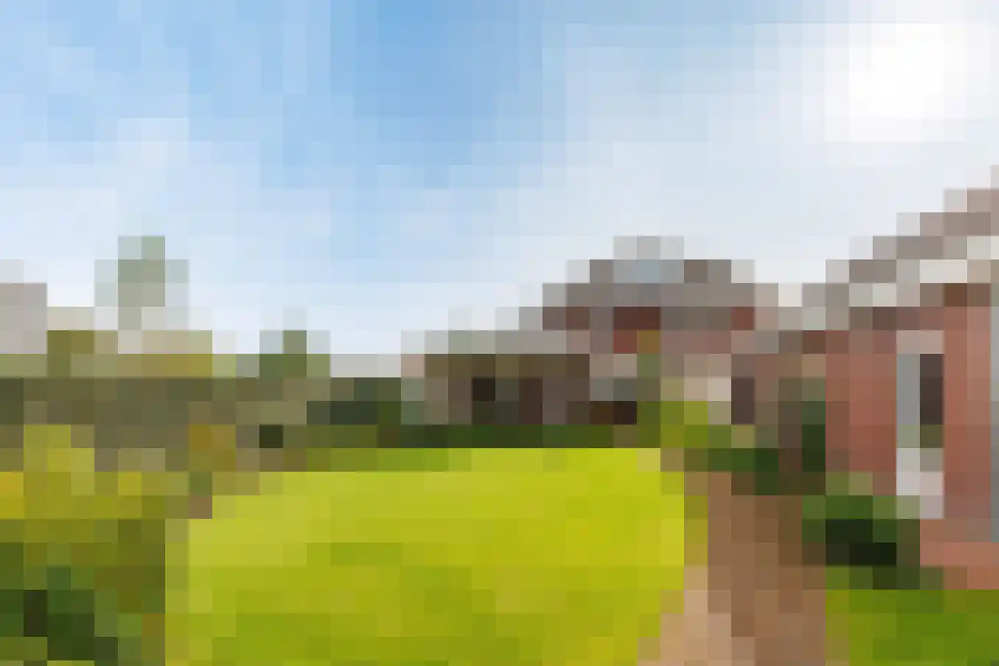 Vlammertsehof 46 Bergen L thumbnail 59