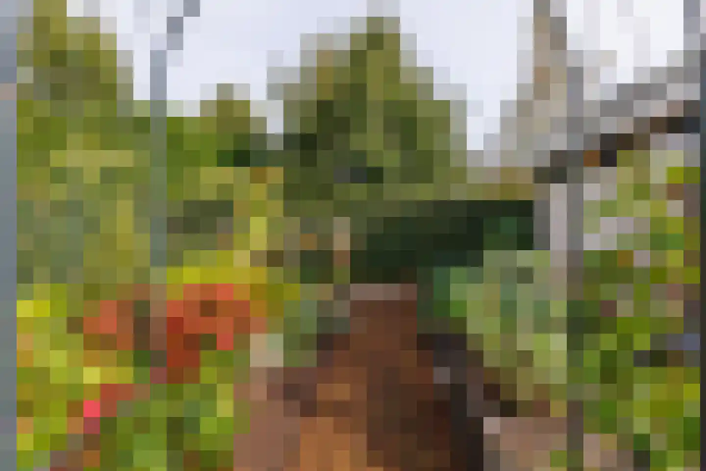 Vlammertsehof 46 Bergen L thumbnail 61