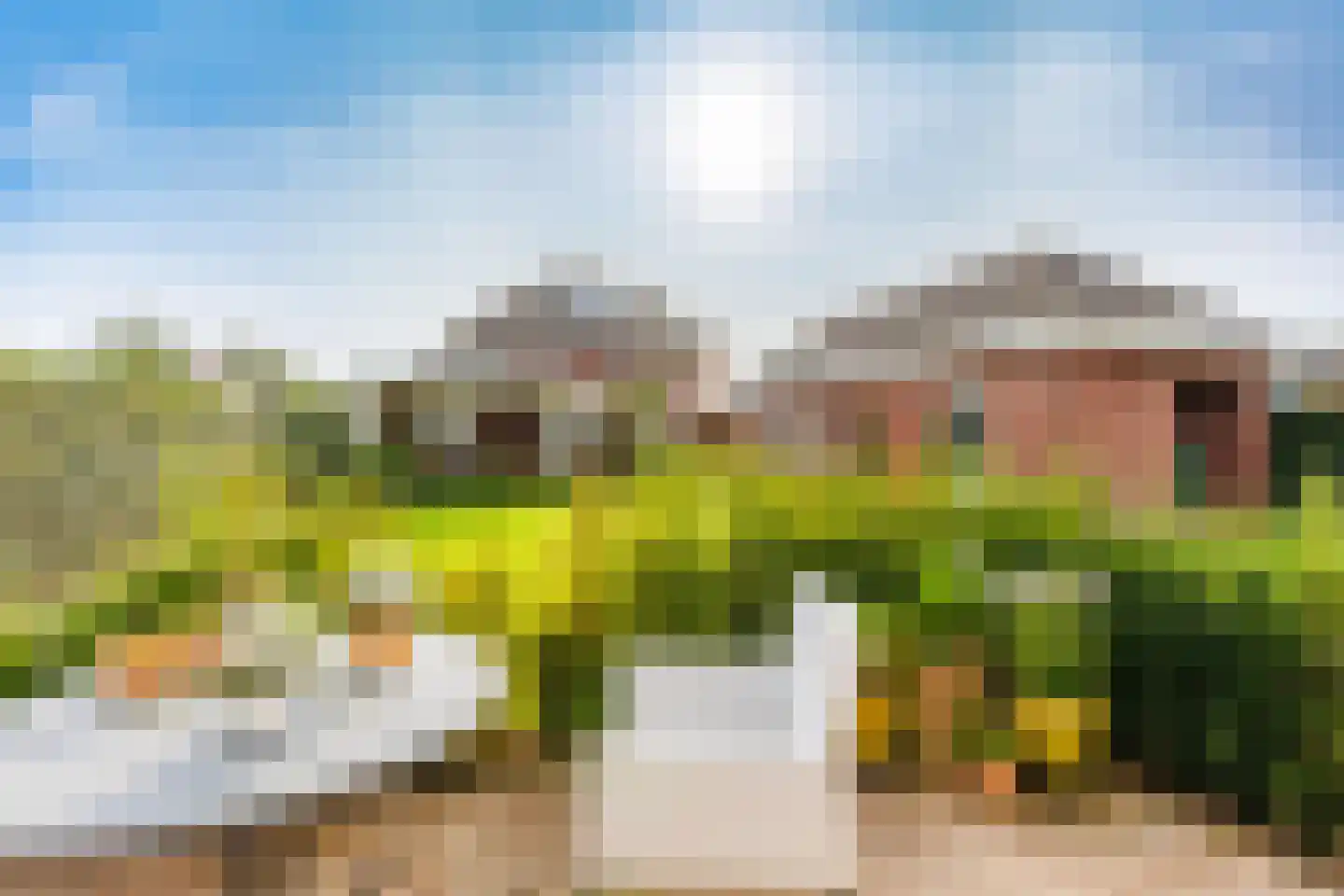 Vlammertsehof 46 Bergen L thumbnail 67
