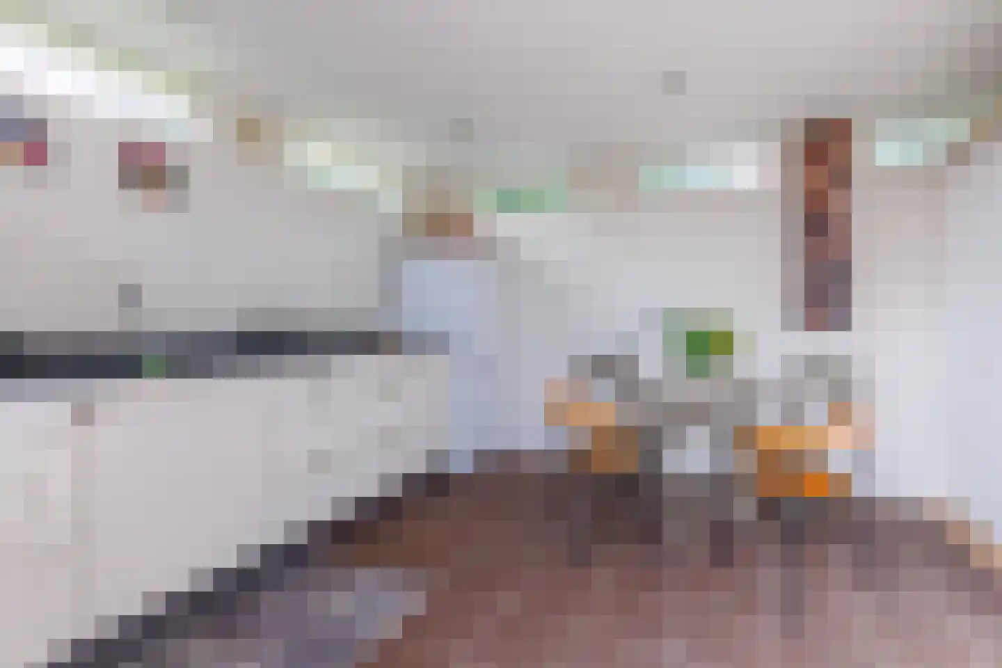 Vlammertsehof 46 Bergen L thumbnail 71